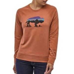 Patagonia Rust Sweatshirt with Mountain Graphic